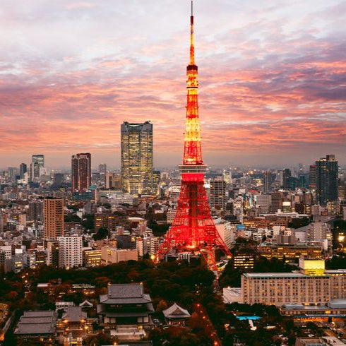 Private 1 Day Tokyo Sightseeing Tour — Car/Van with English-Speaking Driver