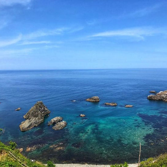 Private 2 Day Shizuoka–Shimoda Sightseeing Tour — Car/Van with English-Speaking Driver