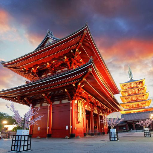 Private 1 Day Tokyo Sightseeing Tour — Car/Van with English-Speaking Driver