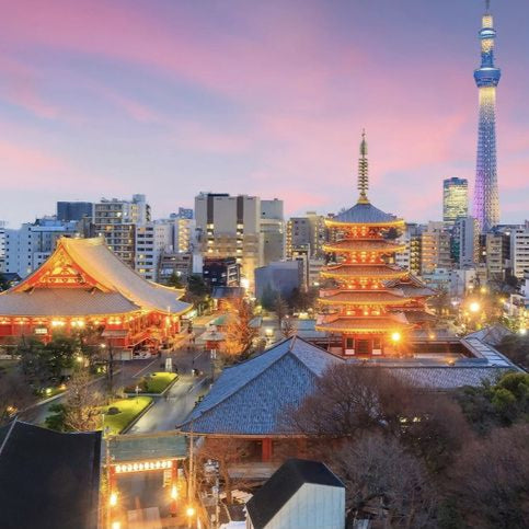 东京一日私人观光游 — 配备英语司机的汽车/面包车旅游