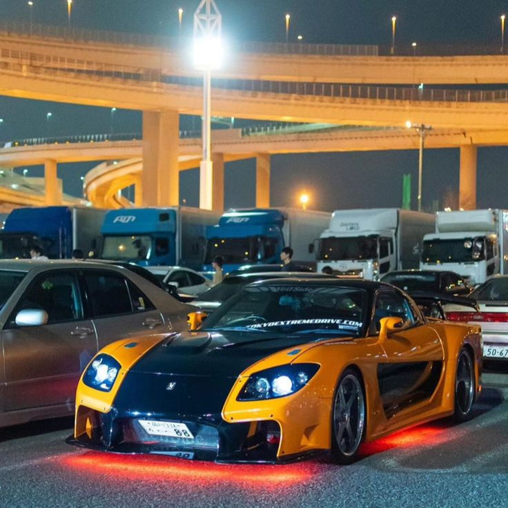 Tokyo FAST & FURIOUS: Real Experience Daikoku Car Meet