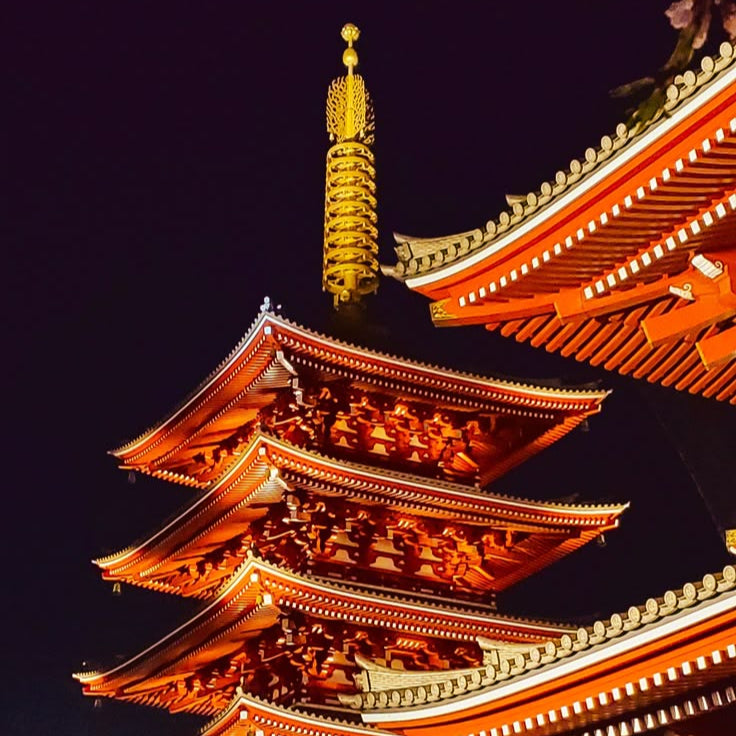 도쿄 나이트 투어 – 5시간 만에 밤의 매력을 탐험하세요