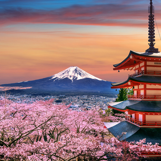 1 Day Private Tour Mt. Fuji with "English speaking driver"