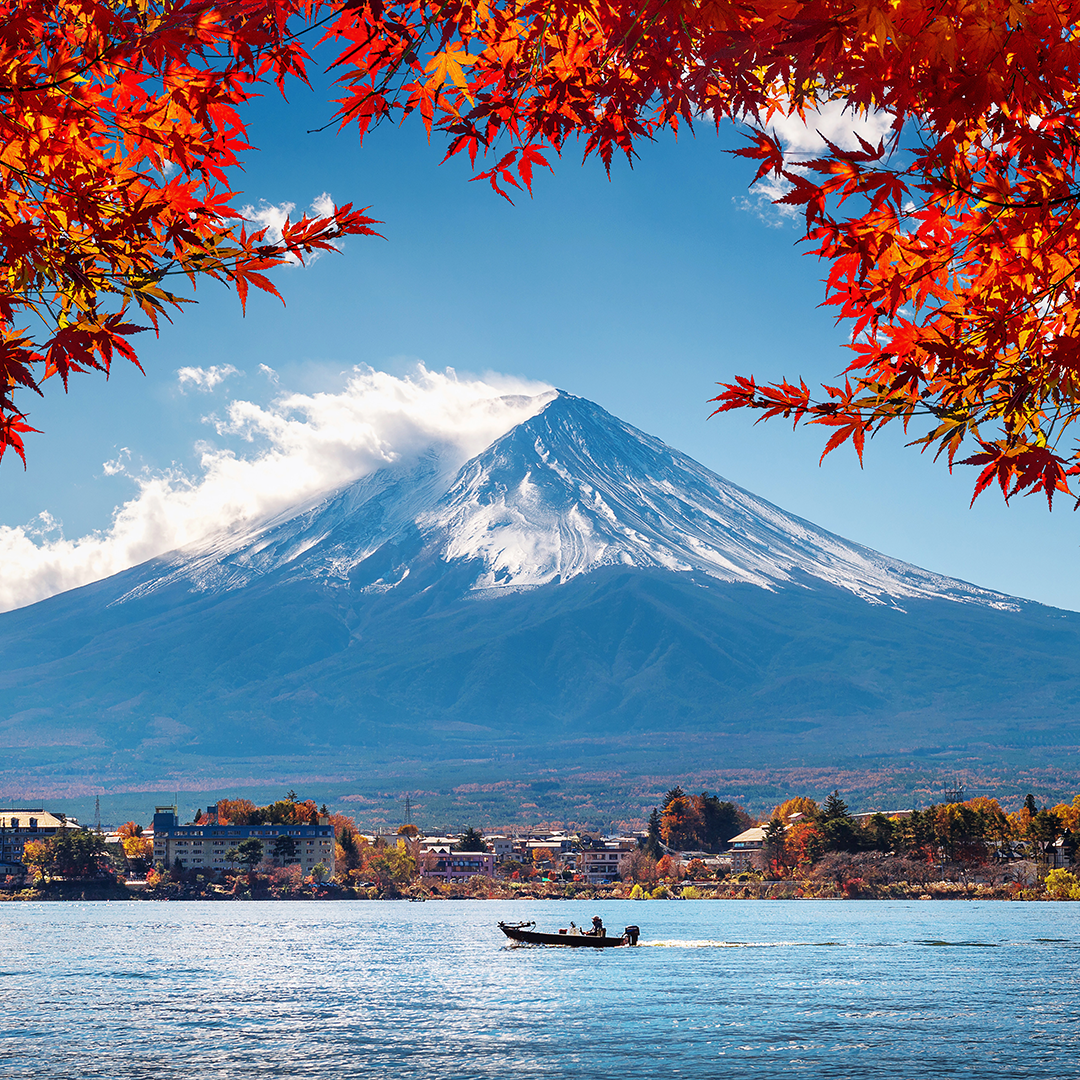 1 Day Private Tour Mt. Fuji with "English speaking driver"