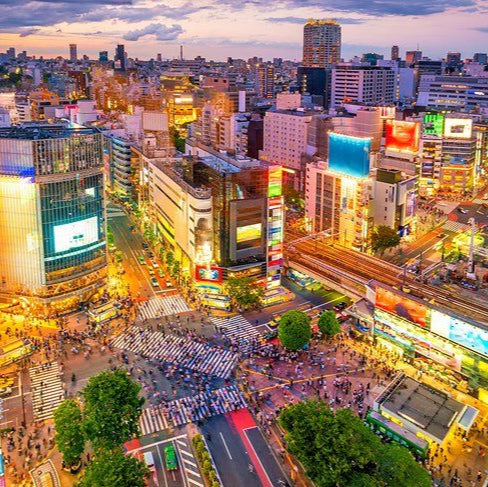 东京一日私人观光游 — 配备英语司机的汽车/面包车旅游