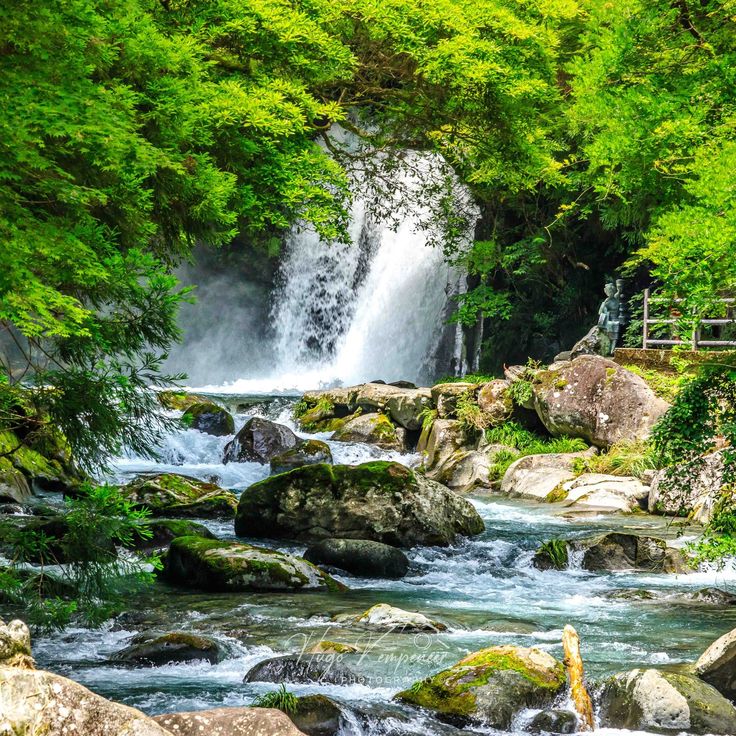 静冈—下田两日私人观光游 — 配备英语司机的汽车/面包车旅游