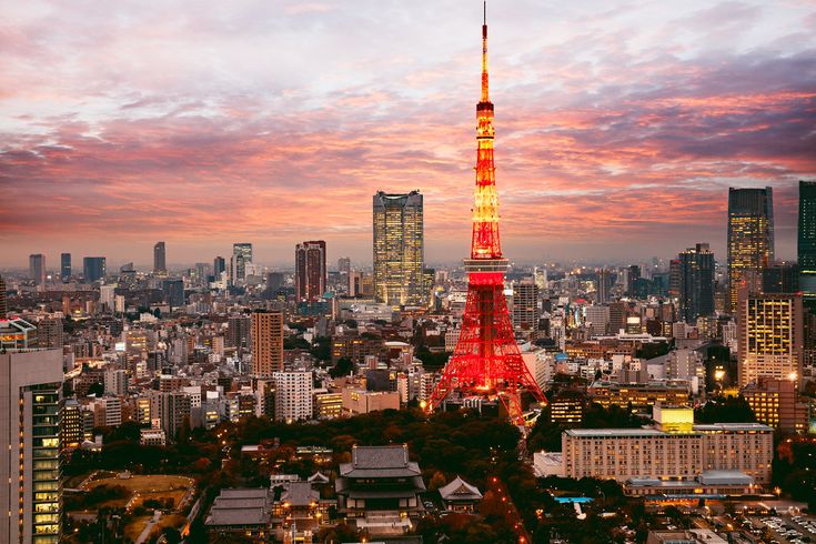 10 Essential Japan Travel Tips You’ll Wish You Knew Before Your Trip 🇯🇵