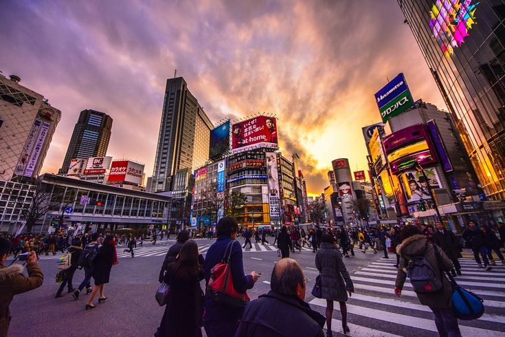 Private Tokyo Tour with English guide showing hidden spots in Shibuya, Tokyo.