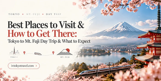 Best Places to Visit & How to Get There: Tokyo to Mt. Fuji Day Trip & What to Expect