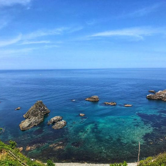 Recorrido turístico privado de 2 días por Shizuoka y Shimoda (coche o furgoneta con conductor de habla inglesa) 