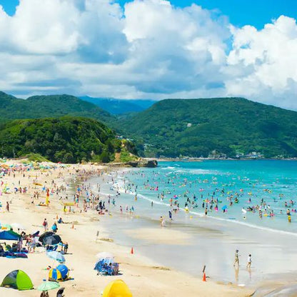 Recorrido turístico privado de 2 días por Shizuoka y Shimoda (coche o furgoneta con conductor de habla inglesa) 
