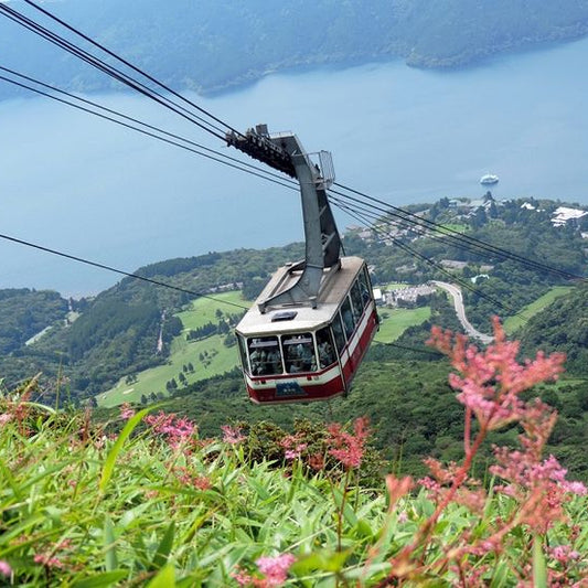 Private 1 Day Hakone Sightseeing Tour — Car/Van with English-Speaking Driver