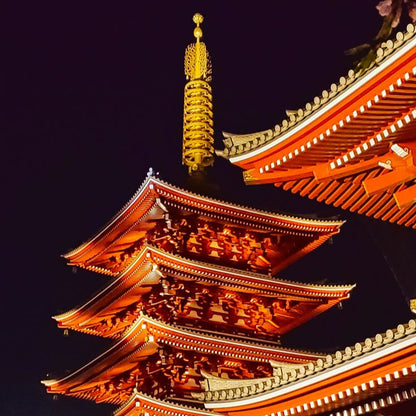 도쿄 나이트 투어 – 5시간 만에 밤의 매력을 탐험하세요