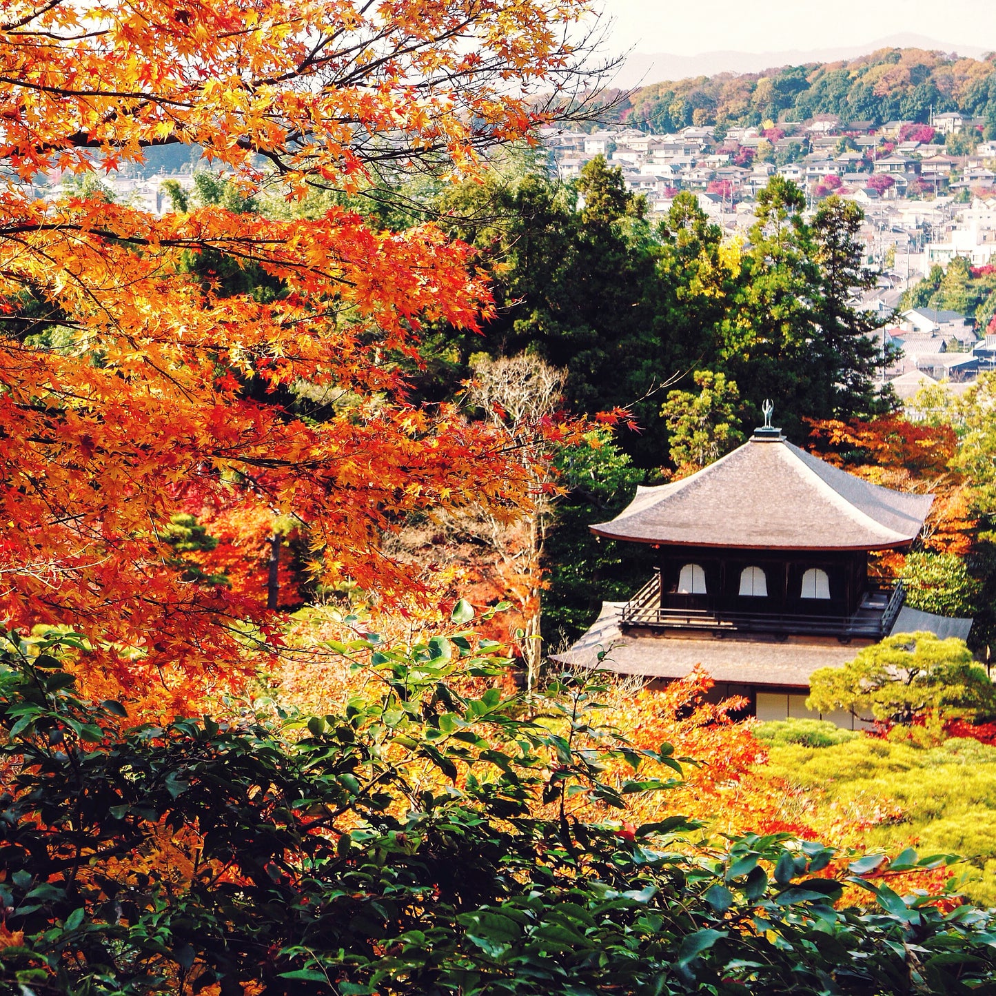 Complete 6-Day Japan Tour with Private Guide & Airport Transfers