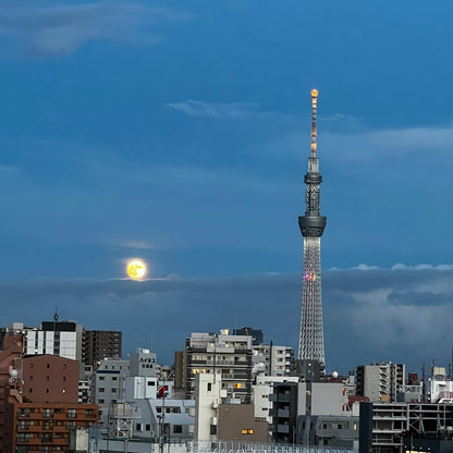 5-Day Japan Luxury Escape – Tokyo, Mt. Fuji & Kyoto