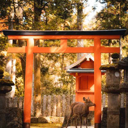 5-Day Japan Luxury Escape – Tokyo, Mt. Fuji & Kyoto