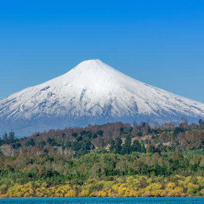 Complete 6-Day Japan Tour with Private Guide & Airport Transfers
